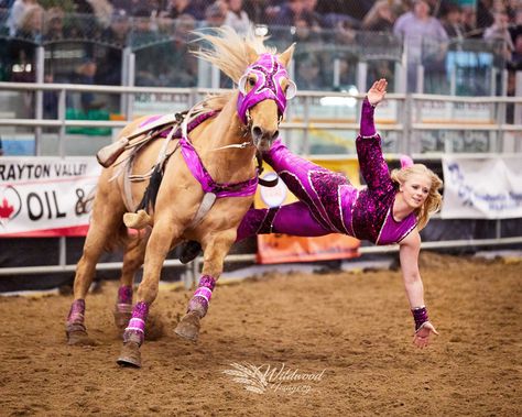 Trick Riding Outfits, Trick Riding Aesthetic, Trick Riding Saddle, Trick Riding, Oc Aesthetic, Heartland Tv Show, Heartland Tv, Barrel Racing Horses, Rodeo Horses