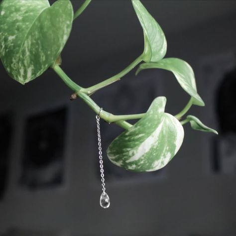 Rain On Leaves, Plant Interior Design, Plant Charms, Plant Interior, Vining Plants, Plant Accessories, Plants Home, Magical Accessories, Jewelry Decor