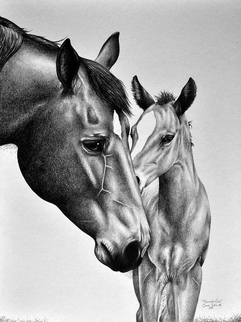 Pencil Drawings Realistic Horse Sketch Pencil, Horse And Foal Tattoo, Drawing Horses Sketches, Realistic Horse Drawings, Realistic Pencil Drawings Of Animals, Realistic Horse Sketch, Horse Face Drawing, Drawing Of Horse, Horse Sketch Art