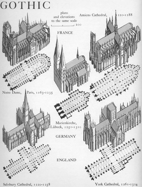 Gothic plans and elevations  Graphic History of Architecture by John Mansbridge History Of Architecture, Architecture Antique, Istoria Artei, Plans Architecture, Gothic Cathedrals, Cathedral Architecture, Architecture History, European Architecture, Architectural Styles