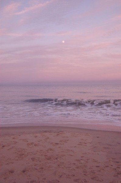 They loved the beach and the sound of the waves. Mauve Asthetic Photos, Mauve Aesthetic Vintage, Pink Mauve Aesthetic, Mauve Pink Aesthetic Wallpaper, Mauve Wallpaper Aesthetic, Mauve Aesthetic Wallpaper, Mauve Pink Wallpaper, Mauve Aesthetic, Mauve Wallpaper