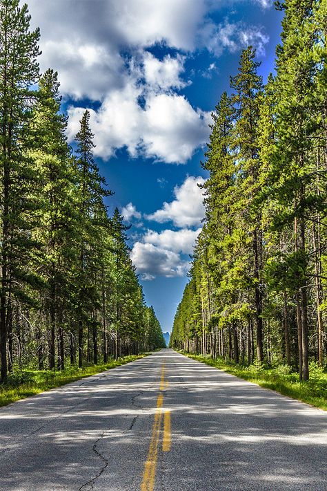 travelingcolors:  Road through the forest, Banff | Canada (by Roberto Melotti) Open Roads, Banff Canada, Beautiful Roads, Scenic Roads, Natural Scenery, Banff National Park, Beautiful Nature Wallpaper, Open Road, Mountain Views