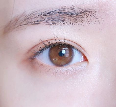 Chinese Eyes, Monolid Eyes, Ulzzang Korea, Brown Eye, Male Eyes, Asian Eyes, Eye Shapes, Look Alike, Brown Eyes