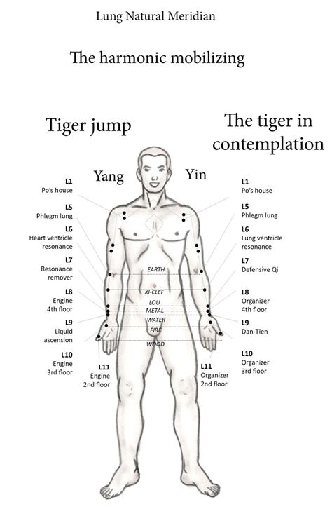 Lung Meridian, Meridian Acupuncture, Traditional Chinese Medicine Acupuncture, Tcm Traditional Chinese Medicine, Reflexology Foot Chart, Acupuncture Points, Thai Massage, Acupressure Points, Body Healing