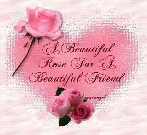 Friendship Rose, Special Friendship Quotes, Special Friend Quotes, Friendship Photos, Friend Poems, Hug Quotes, Good Morning Love Messages, Friendship Poems, Happy Friendship