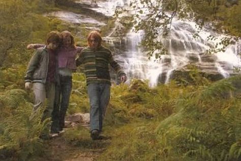 These Unreleased Harry Potter Scenes Need to Be Seen by the Public Already! | moviepilot.com Harry Potter Deleted Scenes, Ron Y Hermione, Buku Harry Potter, The Golden Trio, Expecto Patronum, The Goblet Of Fire, Harry Potter Scene, Harry Potter Dr, Deleted Scenes