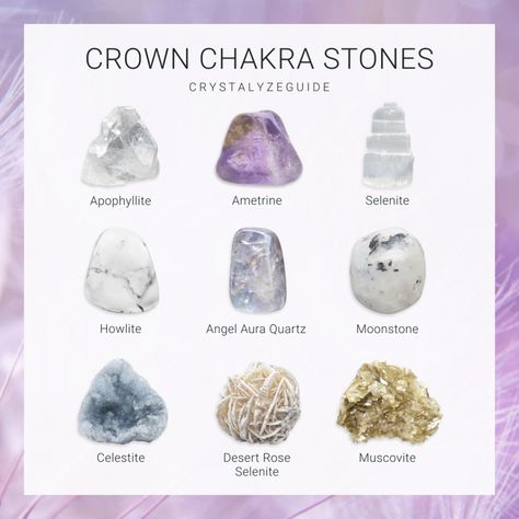 Crown Chakra Crystals, Energy Stones Crystal Healing, The Crown Chakra, About Crystals, Crystal Seashells, Crystal Aesthetic, Crystal Guide, Your Higher Self, Spiritual Crystals