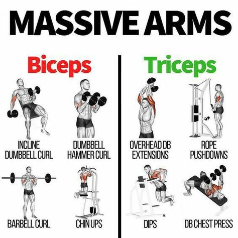 Bigger Biceps Workout, Tricep Workout Gym, Tricep Workout Women, Big Biceps Workout, Chest And Tricep Workout, Back And Bicep Workout, Bigger Biceps, Bicep And Tricep Workout, Chest Workout Routine