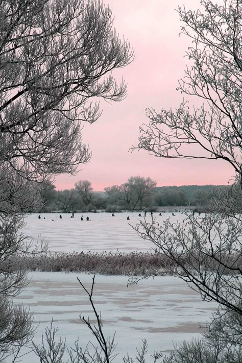 Pink And Grey Wallpaper, Winter Fishing, Gray Aesthetic, Winter Wonder, Color Inspo, Grey Wallpaper, Blush Wedding, Happy Weekend, Dali