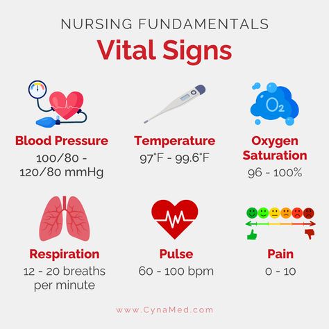 One of the fundamentals of nursing is understanding vital signs. This can help diagnose and treat patients.  #nurse #nursing #rn #lpn #cna #medtech #hospital #health #healthcare #job #lovemyjob #nurselife #nursememes #nursejobs #nursingjobs #pittsburgh #pa Medication Technician, Vital Signs Nursing, Nursing School Studying Cheat Sheets, Nursing Skills, Nursing School Inspiration, Radiology Technician, Nursing Motivation, Certified Medical Assistant, Personal Care Routine