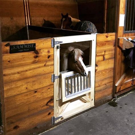 Half-stall door with a cut out for a miniature horse, which would be perfect for a barn with both horses and ponies as well as miniature horses Mini Horse Stall, Horse Barn Ideas Stables, Barn Stalls, Stall Door, Barn Door Hinges, Horse Barn Designs, Horse Shelter, Dream Horse Barns, Horse Barn Plans