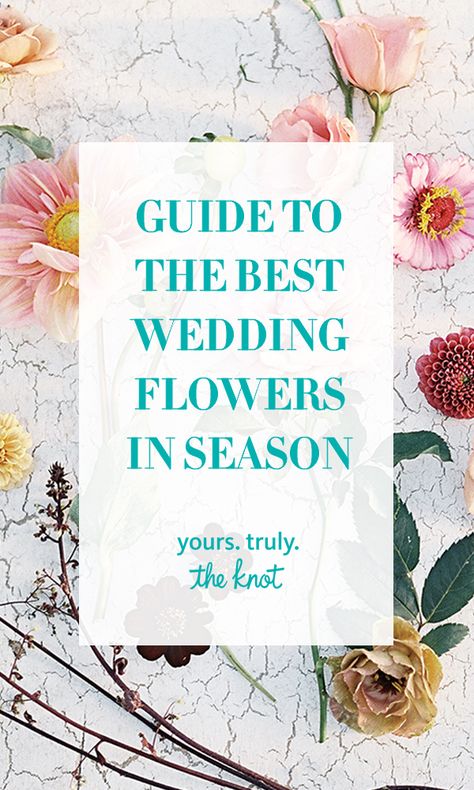 Choosing in-season blooms will guarantee the best quality and the lowest price tag. Best Flowers, Unique Wedding Favors, Wedding Planning Tips, Flower Bouquet Wedding, Wedding Saving, Plan Your Wedding, Wedding Tips, Price Tag, Unique Weddings