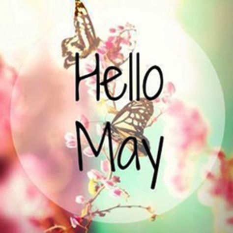 Hello May Quotes, Neuer Monat, Welcome May, May Quotes, Seasons Months, Monthly Quotes, Hello Goodbye, May Days, Days And Months