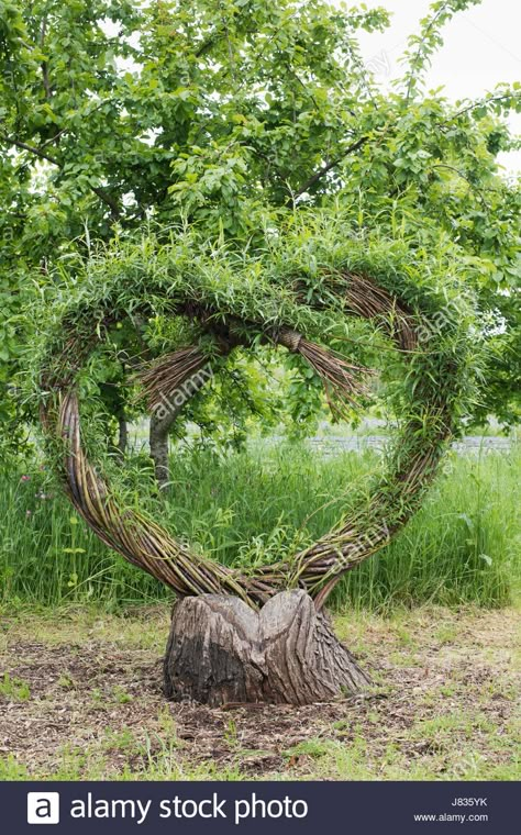 Living willow tree heart sculpture at Daylesford Organic farm summer festival. Daylesford, Cotswolds, Gloucestershire, England Stock Photo Willow Art, Willow Heart, Willow Sculpture, Willow Sculpture Ideas, Willow Sculptures, Willow Tree Structures, Willow Garden Sculpture, Willow Statues, Willow Weaving Garden