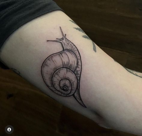 Snail Tattoo Blackwork, Frog And Snail Tattoo, Black And Grey Snail Tattoo, Snail Trail Tattoo, Snail Tattoo Meaning, Snail Tattoo Placement, Snail Line Art, Snail Shell Tattoo, Snail Tattoo Cute