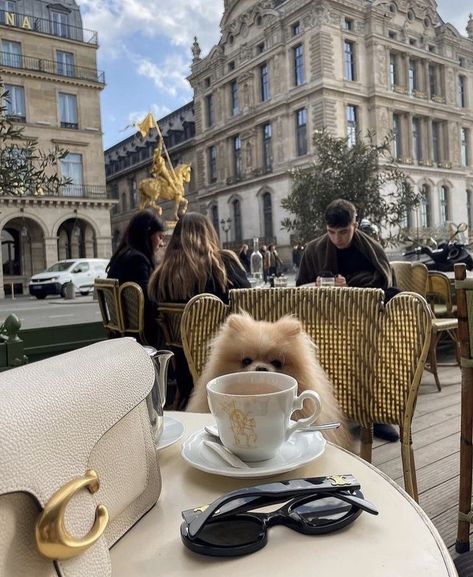 Parisian Aesthetic, Dog Mommy, Paris Aesthetic, Luxury Lifestyle Dreams, Future Lifestyle, Rich Life, Dream Lifestyle, Oui Oui, My Lifestyle