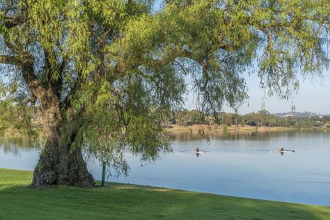 Wagga Wagga: the splurge on real estate in the city of sporting greats Tony Roche, Melbourne Stars, Letting People Go, Wagga Wagga, House Hunters, Cow Girl, Affordable Housing, Red Bricks, Residential Building