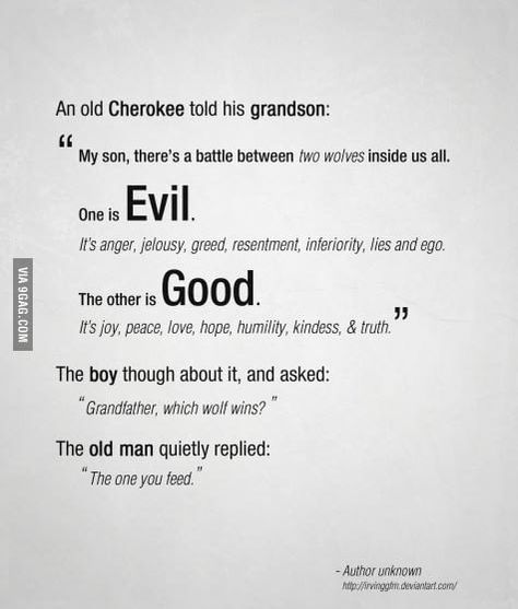 Good vs Evil What I Like About You, Two Wolves, Good Quotes, Words Worth, Visual Statements, Quotable Quotes, The Words, Wolves, Great Quotes