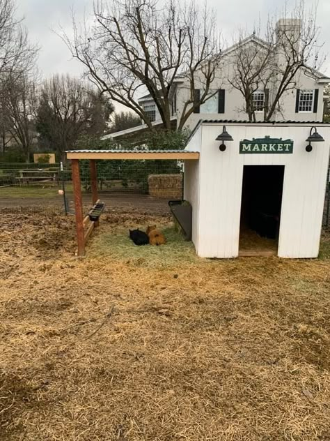 Pet Pig Outdoor Housing, Pallet House For Goats, Small Goat Shed, Pet Cow House, Fence For Goats Ideas, Cute Goat Enclosures, Animal Shed Ideas, Outdoor Pig Pen, Lamb House Ideas