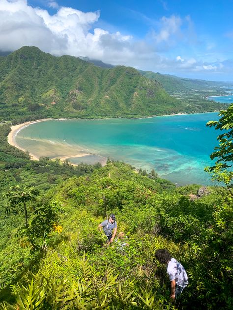 Hawaii Jungle Aesthetic, Hawai’i Aesthetic, Honolulu Hikes, Hiking Aesthetic Hawaii, North Shore Oahu Aesthetic, Surfing Hawaii, Hawaii Hikes Oahu, Hawaii North Shore, North Shore Hawaii