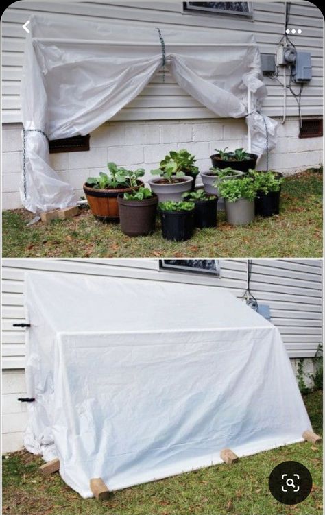 Serre Palette, Pallet Greenhouse, Cold Frame Diy, Cold Frame Greenhouse, Pvc Greenhouse, Cheap Greenhouse, Greenhouse Farming, Diy Greenhouse Plans, Large Greenhouse