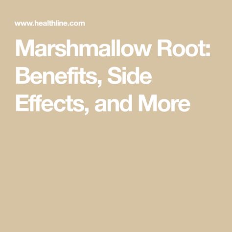 Benefits Of Marshmallow Root, Marshmallow Root Tea Benefits, Marshmallow Herb Benefits, Marshmallow Benefits, Marshmallow Root Benefits, Marshmallow Herb, Marshmallow Root Tea, Marshmallow Root Powder, Wild Crafting