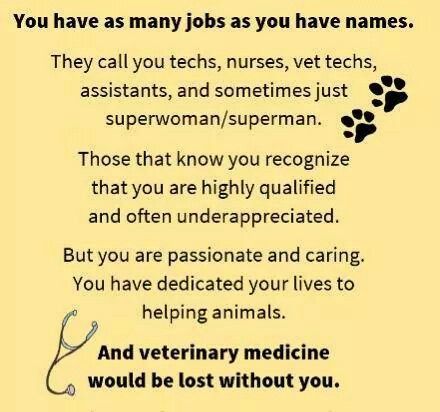 Techs.... I DO love to satisfy the clients, but I don't feel "under appreciated" because I see the appreciation in the eyes of EVERY pet I help Vet Tech Quotes, Vet Tech Graduation, Vet School Motivation, Veterinary Humor, Vet Tech Humor, Veterinarian Technician, Vet Tech School, Veterinary Tech, Vet Technician