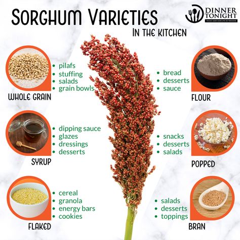 What is sorghum and how can we use it in our kitchen? There are different forms of sorghum and different by-products. Sorghum is commonly used as feed with livestock, but there is also a food grade variety for human consumption. Take a look at the different products we can use in our every day meals! Sorghum Flour Recipes, Sorghum Benefits Health, Sorghum Recipes Dinners, Sorghum Plant, Popped Sorghum, Healthy Grains Recipes, Ingredient Prep, Harvesting Sorghum, Sorghum Recipes