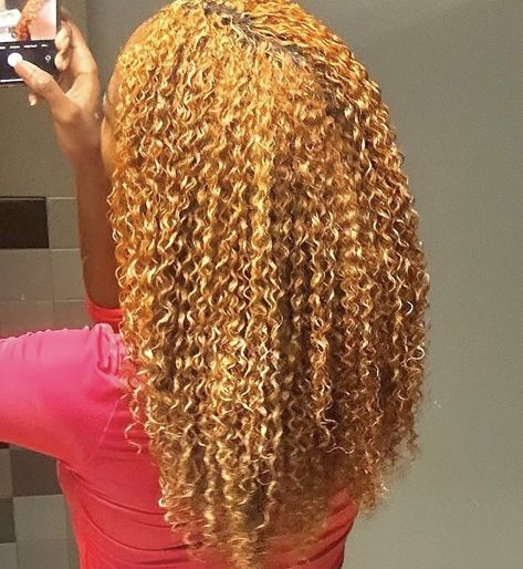 Blonde Natural Hair, Brown Hair Dye, Cute Curly Hairstyles, Dyed Hair Inspiration, Dyed Natural Hair, Natural Curls Hairstyles, Dye My Hair, Hair Dye Colors, Hair Inspo Color