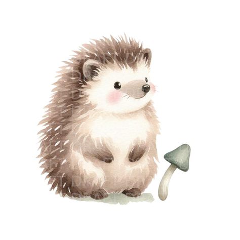 Hedgehog Clipart, Watercolour Clipart, Hedgehog Drawing, Hedgehog Illustration, White Backgrounds, Decor Stickers, Watercolour Illustration, Cute Hedgehog, Design Paper