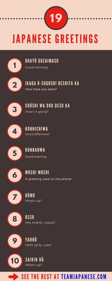 19 different Japanese greetings! Wondering how to say hello in Japanese? There are many different greeting, from formal to casual. It's important to know who you're speaking to in Japanese. Click through for explanations! Japanese Headboard, Different Ways To Say Hello, Desserts Decoration, Hello In Japanese, Caste Heaven, Japanese Greetings, Funny Flowers, How To Say Hello, How To Speak Japanese