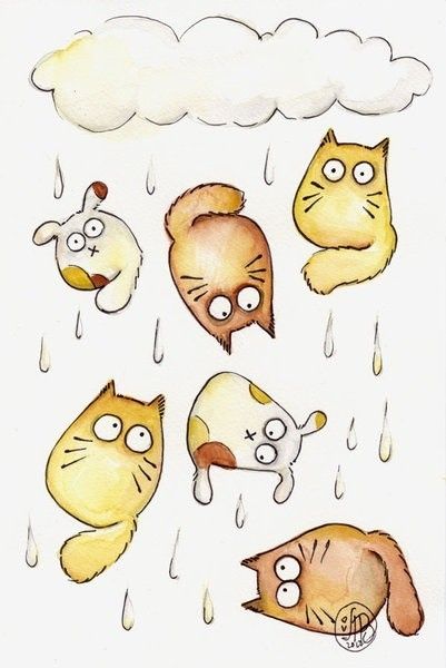 Image Chat, Raining Cats And Dogs, Cats Illustration, Cat Illustration, Cat Stuff, All About Cats, Cat Drawing, Cartoon Cat, Crazy Cat Lady