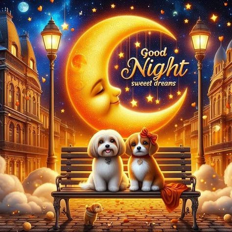 Goodnight Gif Sweet Dreams Good Night, Goodnight Cute Images, Funny Good Night Pictures, Sweet Dreams Messages, Positive Good Night Quotes, Cute Goodnight, Goodnight Pictures, Sweet Dreams Good Night, Cute Good Night Quotes