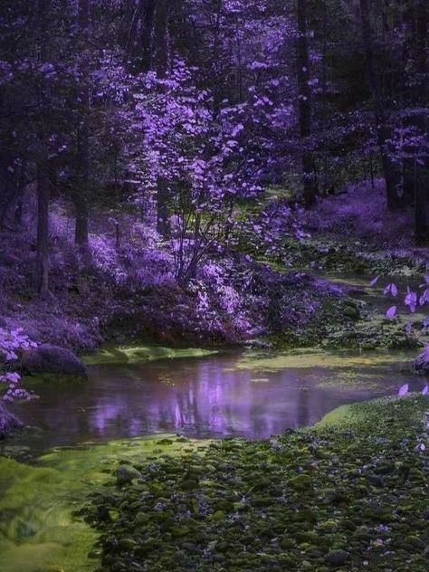 Lofi Aesthetic, Violet Aesthetic, Dark Green Aesthetic, Fantasy Forest, Pretty Landscapes, Beautiful Landscape Wallpaper, Fantasy Aesthetic, Green Nature, Pretty Wallpapers Backgrounds