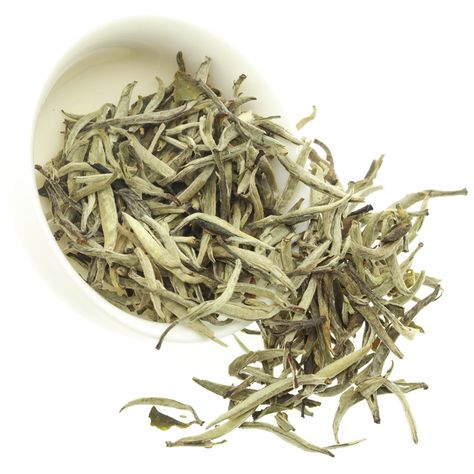 Nonpareil Fuding silver needle white tea. Find more please visit:www.runmingtea.com #whitetea #fujiantea #fudingsilverneedletea #slimmingtea #healthytea #runmingtea White Tea Aesthetic, Tea Leaf Aesthetic, White Tea And Sage, White Willow Bark Tea, White Tea Perfume, Healthy Teas, Tea Culture, White Tea, Tea Leaves