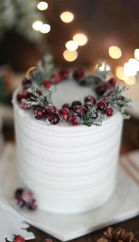 Winter Cake Ideas, Sugared Cranberry, Winter Torte, Christmas Wedding Cakes, Christmas Cakes Easy, Winter Cakes, Xmas Cakes, Christmas Themed Cake, Christmas Cake Ideas