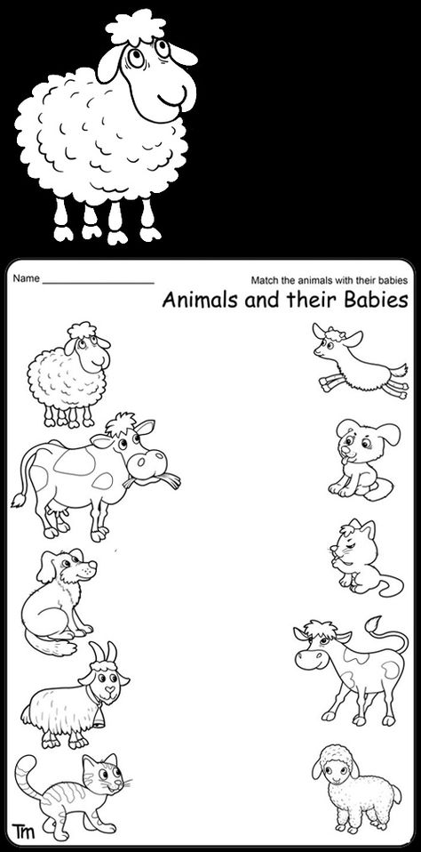 On The Farm Worksheets Preschool, Animals On A Farm Preschool, Preschool Farm Animals, Farm Animals Worksheets For Grade 1, Animals And Their Young Ones, Animals And Their Babies Free Printable, Young Ones Of Animals, Animals And Their Babies Worksheet, Farm Animals And Their Babies