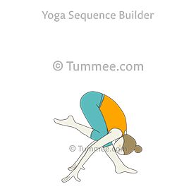 Revolved Triangle Pose, Downward Facing Dog Pose, Flamingo Pose, Arm Balance Yoga Poses, Prasarita Padottanasana, Yoga Massage, Triangle Pose, Yoga For Balance, Plank Pose