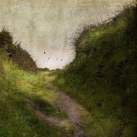 The Brilliance of Ordinary | jamie heiden | Flickr Jamie Heiden, Birds Flying, Art Plastique, Abstract Landscape, Painting Inspiration, Landscape Art, Artist Inspiration, Painting & Drawing, Landscape Paintings