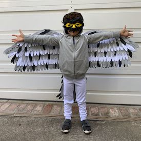 Falcon Costume, Hedwig Costume, Halloween Costume Ideas For Kids, Costume Ideas For Kids, Sew Halloween Costume, Peregrine Falcon, Diy Halloween Costume, Cotton Pajamas, Animal Masks