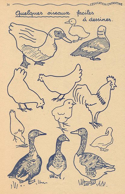 Birds To Draw, Ducks And Geese, Chalkboard Drawings, Art Mignon, 강아지 그림, Arte Sketchbook, Arte Inspo, Art Et Illustration, Book Illustrations