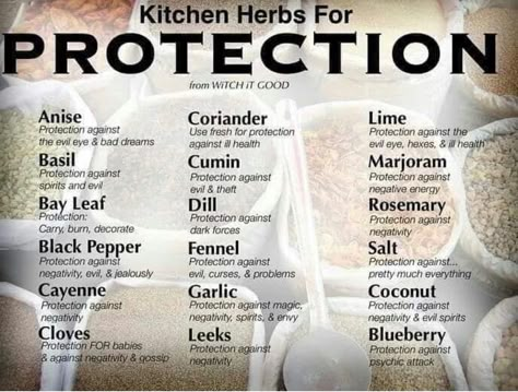 Herbs For Protection, Magickal Herbs, Witch Herbs, Magic Herbs, Kitchen Herbs, Kitchen Witchery, Magical Herbs, Witchy Tips, Wiccan Spell Book