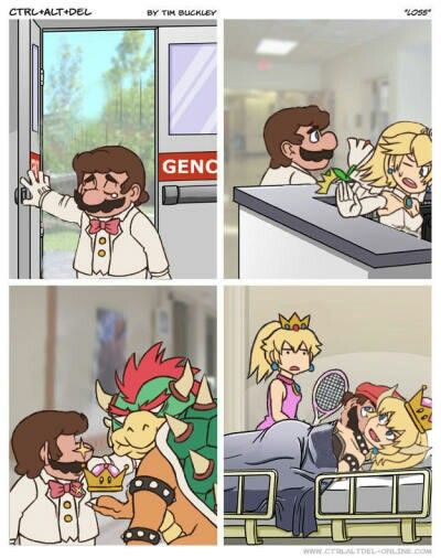 princesa bowser Is This Loss, Mario Comics, Mario Funny, Smash Bros Funny, Funny Gaming Memes, Nintendo Fan Art, Super Mario Art, Mario Art, Naruto Cute