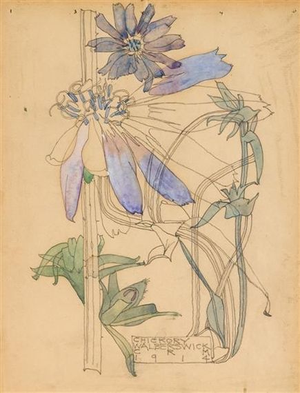 Artwork by Charles Rennie Mackintosh, Chickory, Made of pencil and watercolour Charles Mackintosh, Charles Rennie Mackintosh, Rennie Mackintosh, Glasgow School Of Art, Illustration Botanique, Scottish Art, Botanical Painting, Art Et Illustration, Botanical Drawings