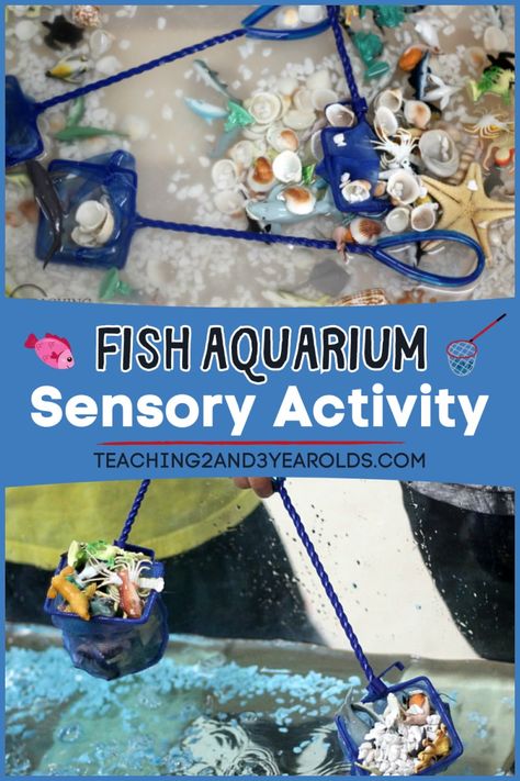 It's so easy to create a preschool ocean activity that includes playful learning! Add aquarium rock, ocean creatures, and nets to a sensory bin filled with water, and you're set. Super fun! #ocean #beach #water #sensorybin #sensorytable #watertable #shells #preschool #AGE3 #AGE4 #teaching2and3yearolds Aquarium Activities Preschool, Ocean Small Group Activities Preschool, Ocean Preschool Activities, Sea Creature Sensory Bin, Taste Safe Ocean Sensory Bin, Ocean Animal Sensory, Ocean Clean Up Sensory Bin, Ocean Activities Preschool, Toddler Class