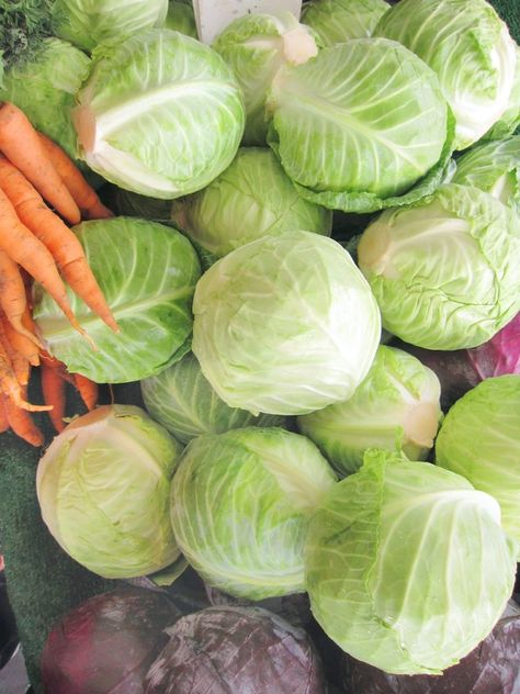 Delicious Mediterranean Cabbage Rolls – Dolly’s Kettle Cabbage Aesthetic, Greencore Aesthetic, Long Grain Brown Rice, Southern Cake, Cabbage Head, Brown Rice Recipes, Potager Garden, Ground Lamb, Toasted Pine Nuts