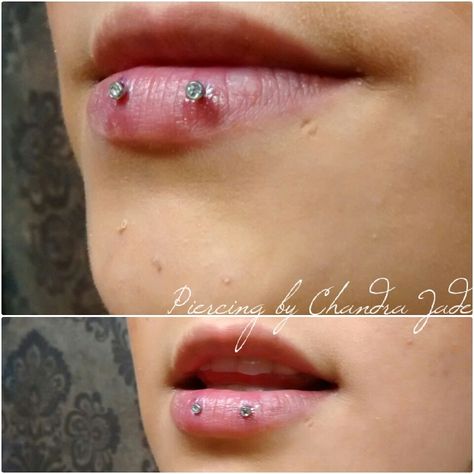 Double inverse lip piercing I did with 2.5mm cz ends #piercingbychandrajade… Double Ashley Piercing Lip, Double Ashley Piercing, Double Lip Piercing, Dallas Tattoo, Ashley Piercing, Lip Piercings, Piercing Inspo, Cute Piercings, Lip Piercing