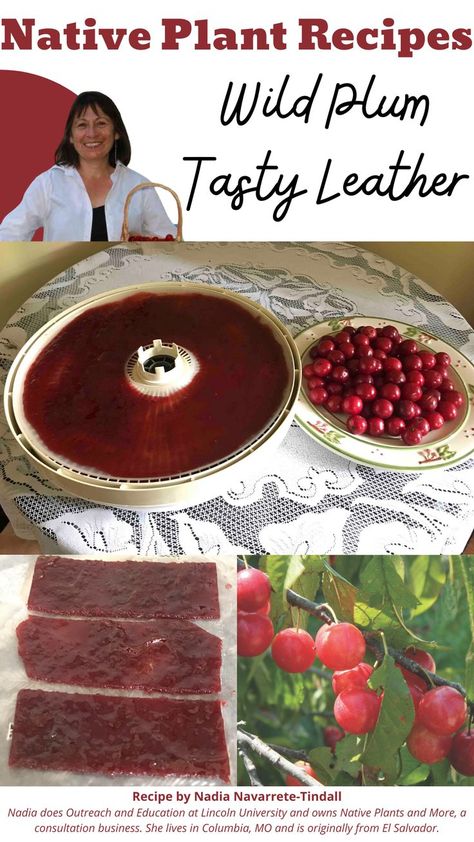 Plum Recipes Canning, Wild Plum Jelly Recipe, Plum Preserves, Plant Recipes, Fruit Leather Recipe, Plum Juice, Wild Plum, Plum Recipes, Canning Food Preservation