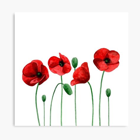 "Watercolor poppies. Red flowers. Summer floral" Throw Pillow by Remioni | Redbubble Poppy Flower Painting, Poppy Drawing, Watercolor Flowers Tutorial, Poppy Art, Watercolor Poppies, Flowers Botanical, Poppy Painting, Western Front, Flowers Summer