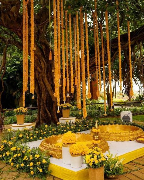 Minimal Haldi Decor Outdoor, Haldi Wedding Decoration, Best Flowers For Wedding, Garden Haldi Decor, Haldi Tree Decoration, Tropical Haldi Decor, Indian Wedding Haldi Decor, Kerala Wedding Aesthetic, South Indian Haldi Decor